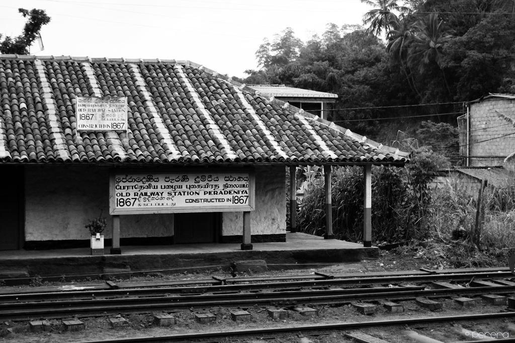 Summit View Bed & Breakfast Kandy Exterior foto