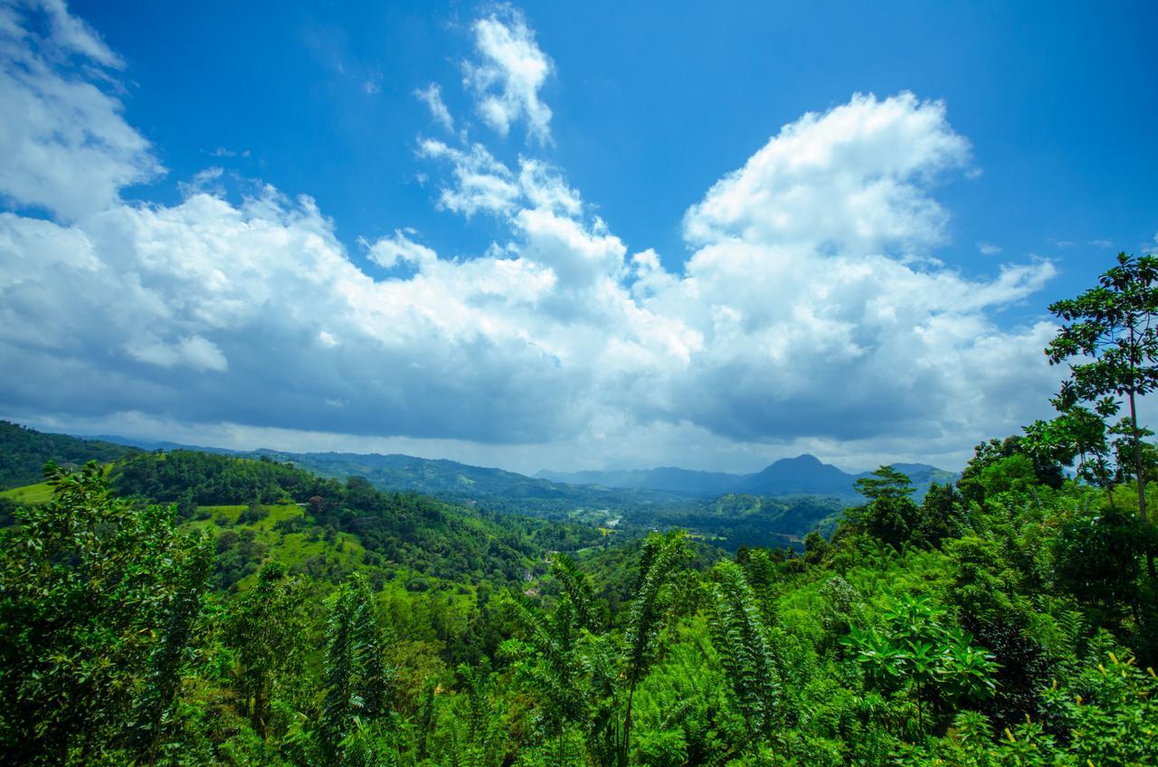 Summit View Bed & Breakfast Kandy Exterior foto